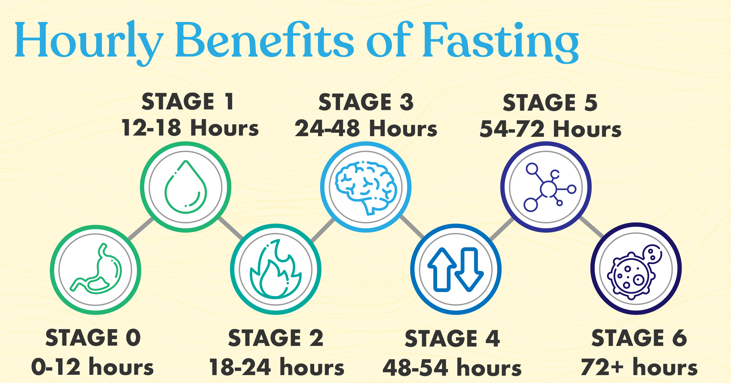 Stages Of Fasting 